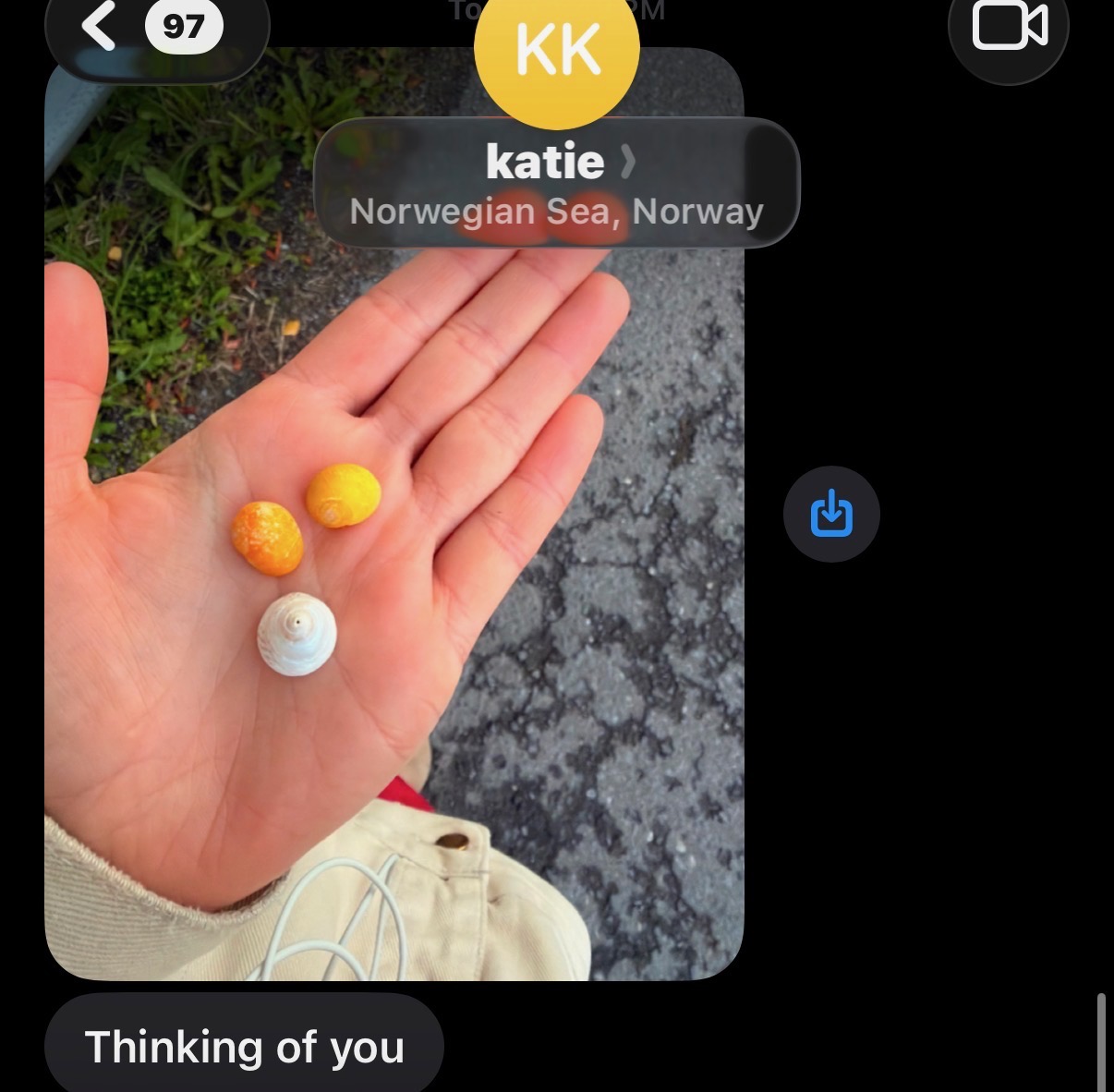 Hand holding tiny orange shells: Thinking of you