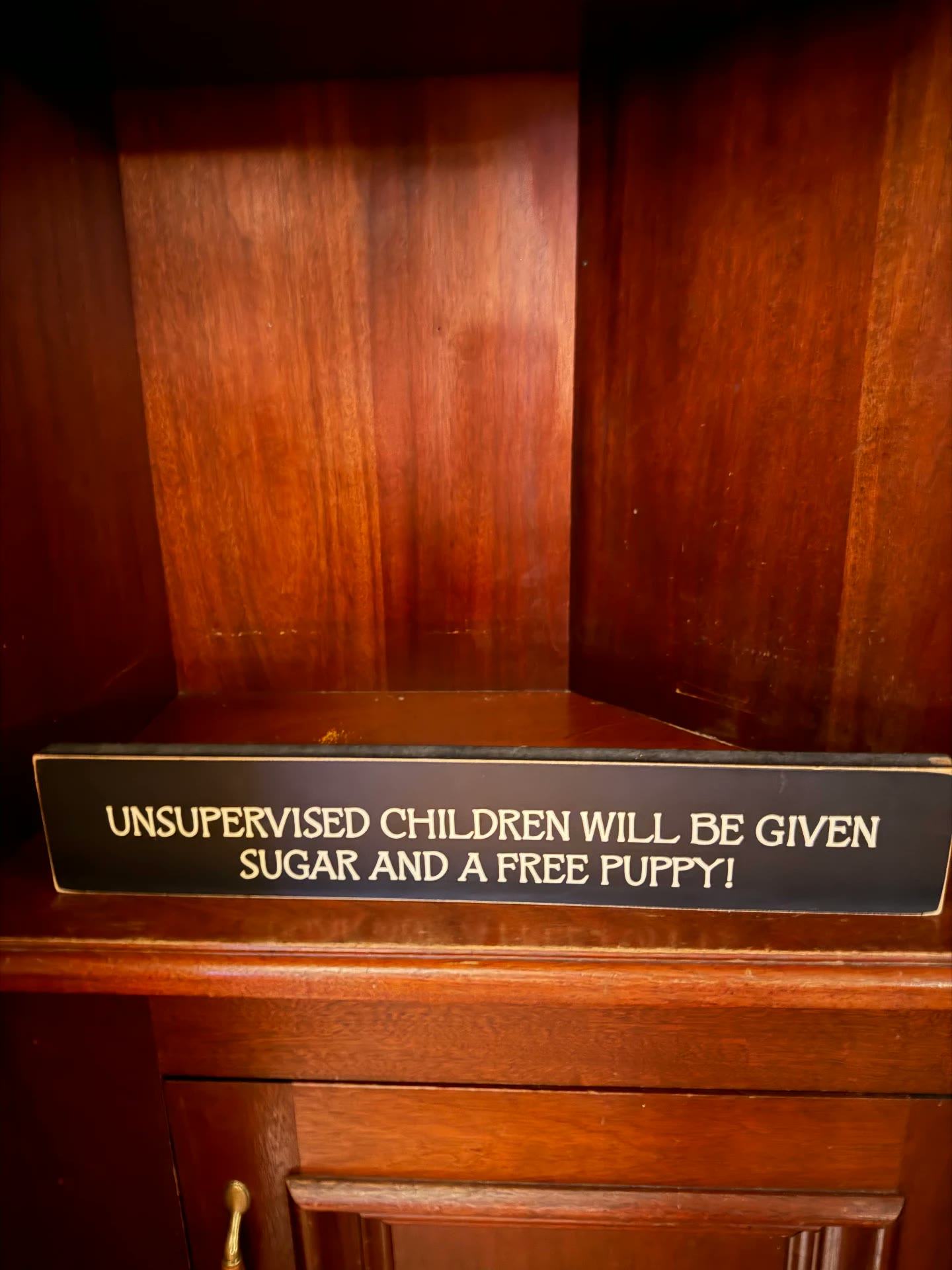 Sign: Unsupervised children will be given sugar and a free puppy