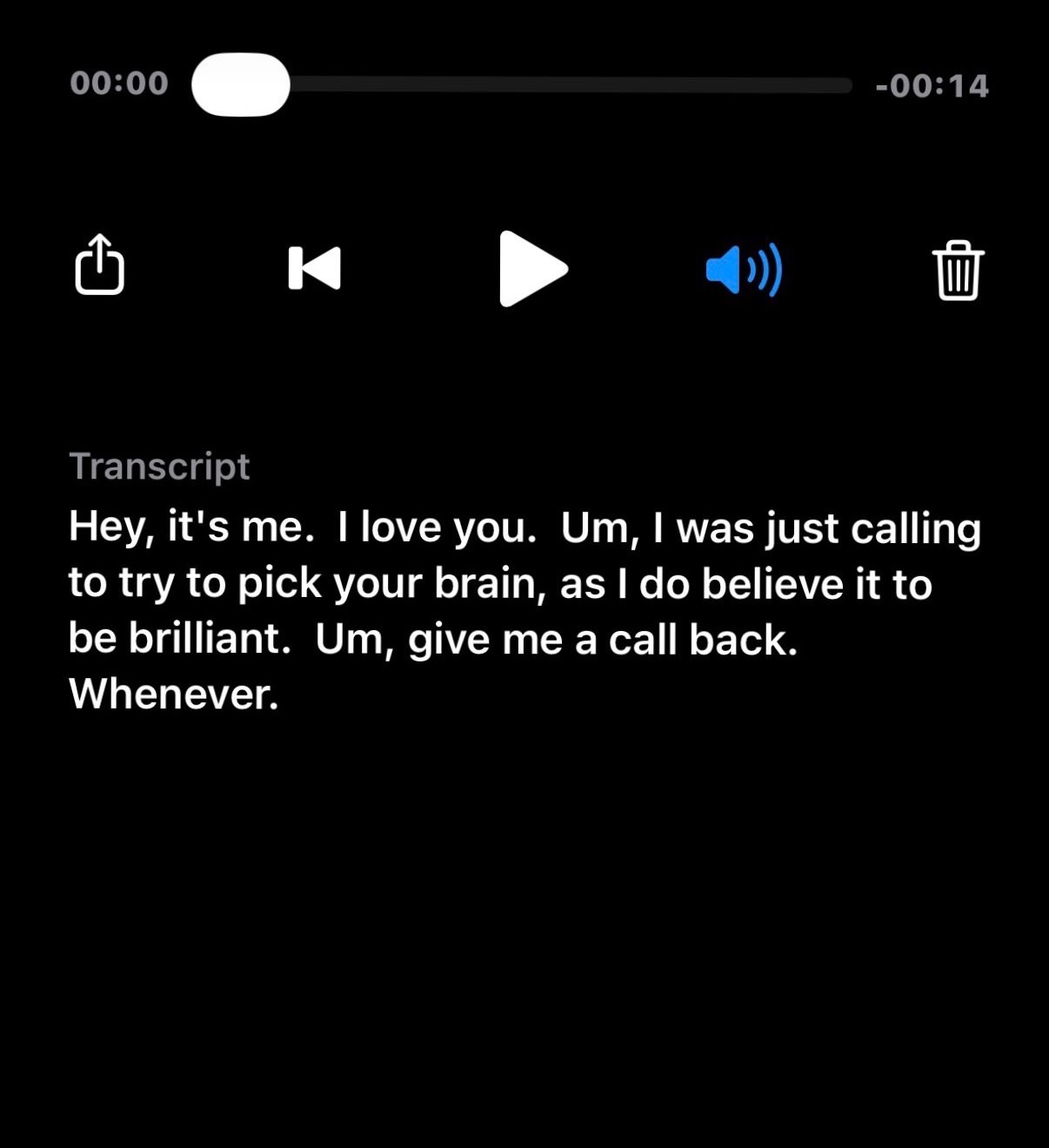 Voicemail transcript: Hey it's me, I love you, give me a call back whenever