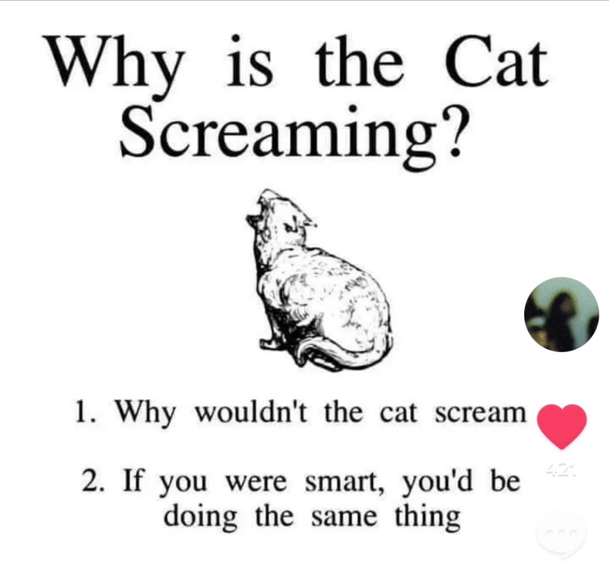 Why is the Cat Screaming? illustrated page