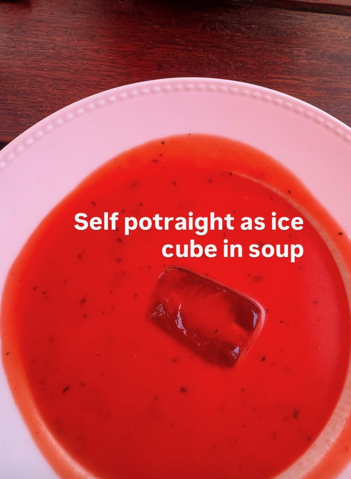 Bowl of red soup with an ice cube, captioned Self potraight as ice cube in soup