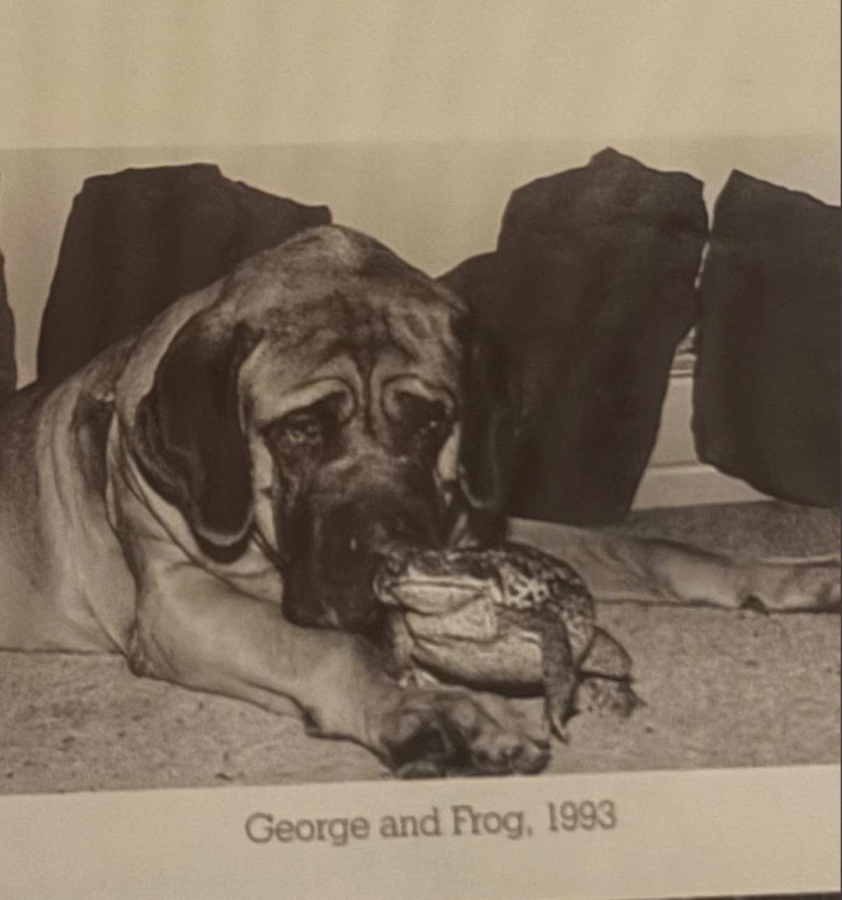 Sepia photo of a dog and a frog, captioned George and Frog, 1993
